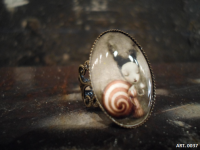 Anillo Caracol